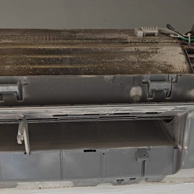 ICM_12